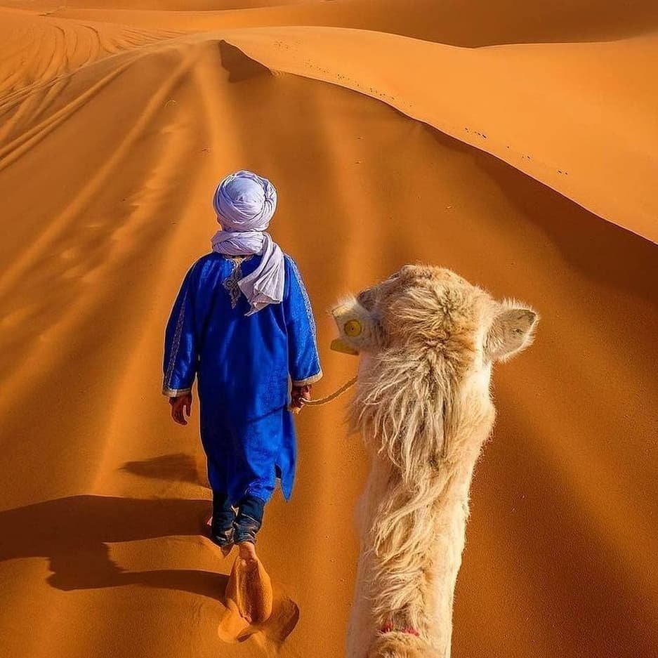 Actividades en Erg Chebbi
