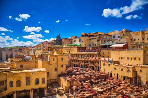 Tours desde Fez