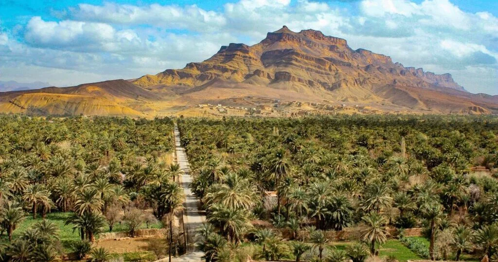 El Valle del Draa