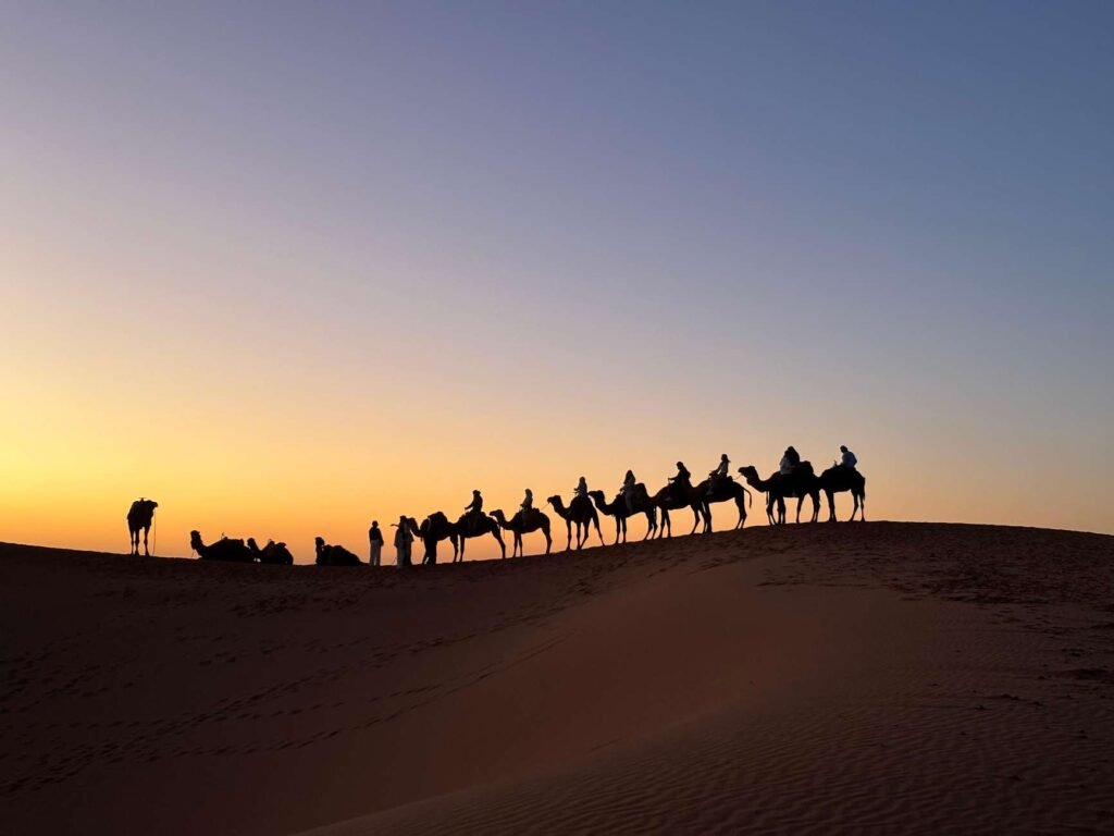 Tour 4 días desde Fez a Marrakech